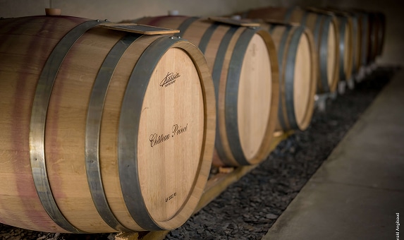 Le Domaine - Reception - Caveau de dégustation