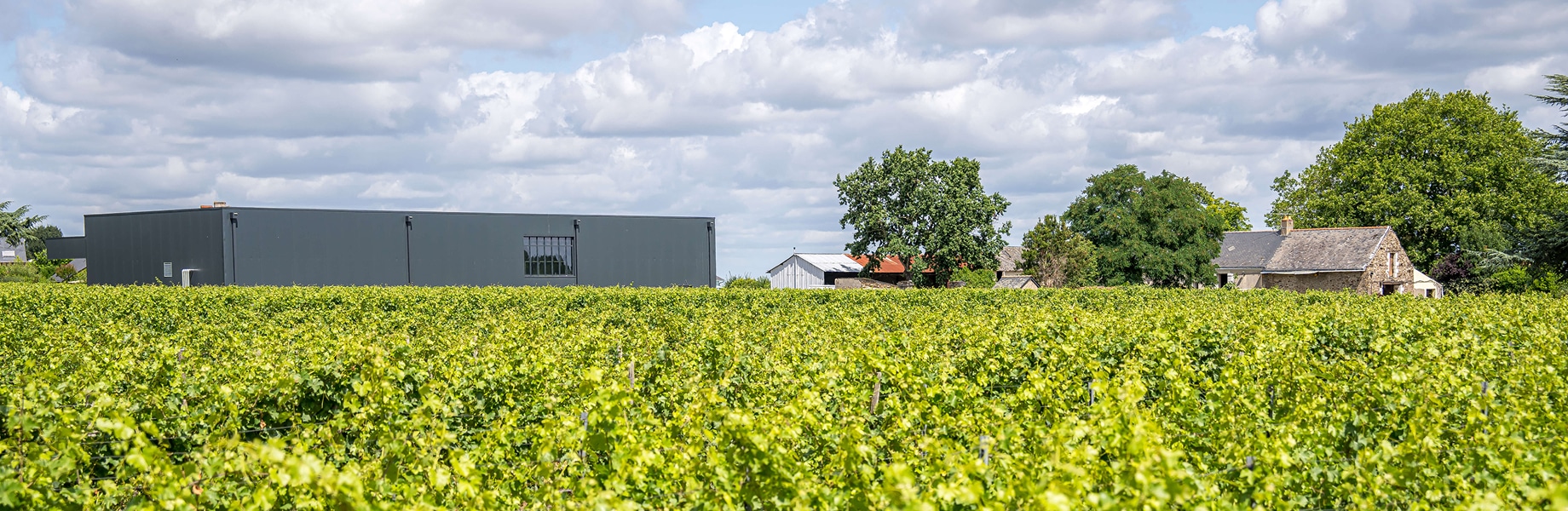 Photo header Le Domaine