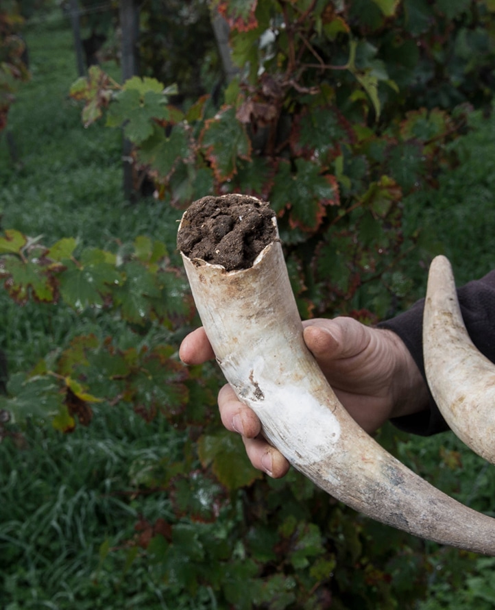 Photo RSE - Préparation naturelle