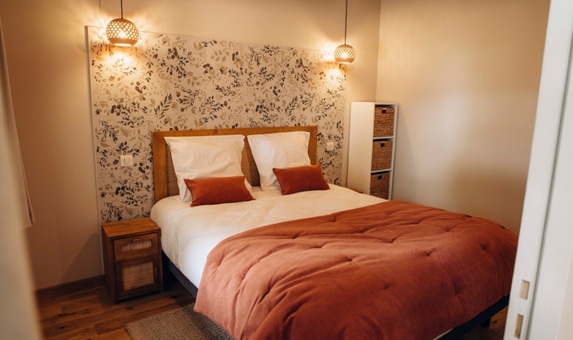 Lueurs-de-la-vigne-1