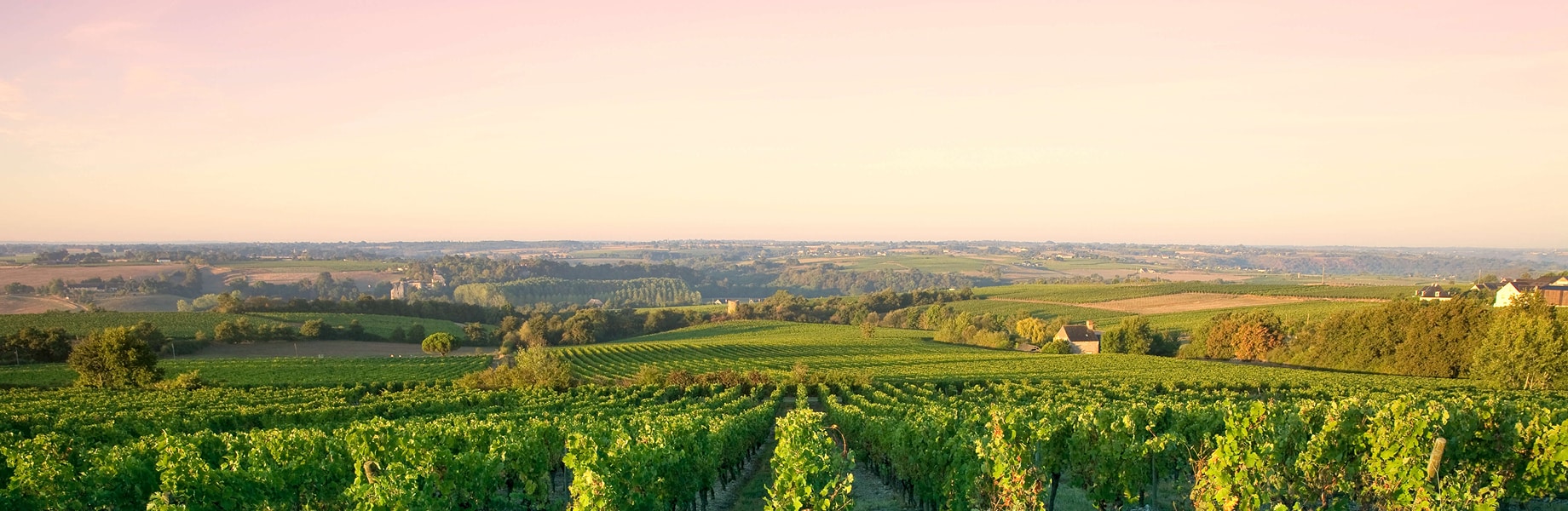 Photo Découvrir l'Anjou - Header