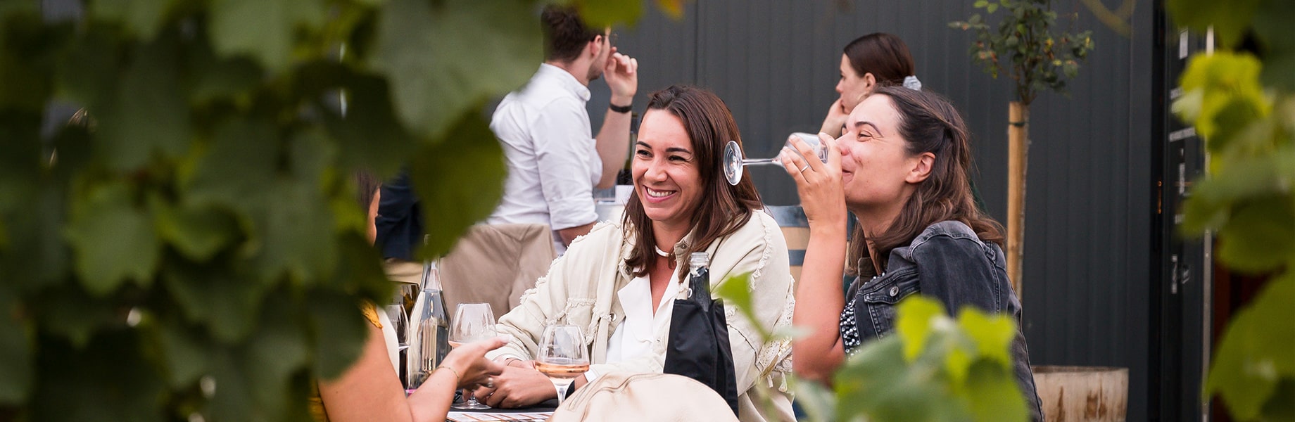 Photo-header_Oenotourisme