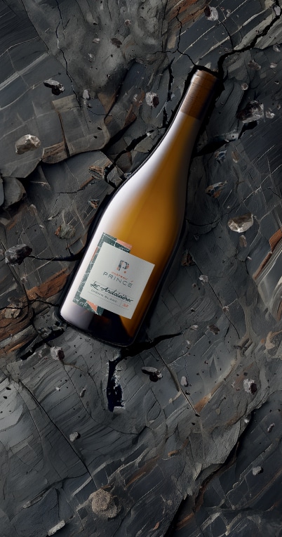 Visuel-cle-Chateau-Prince-mobile